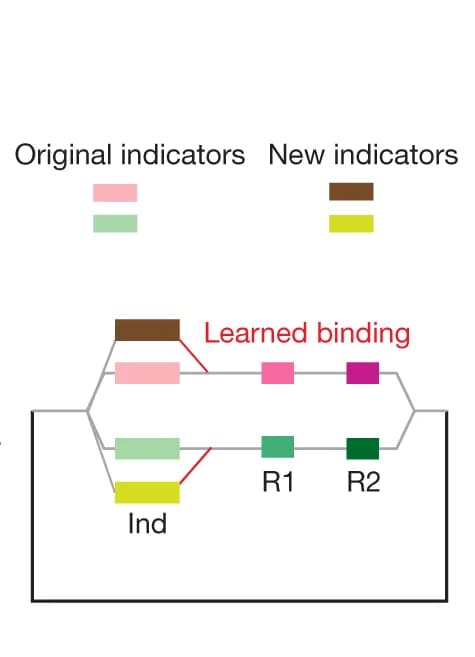 Open access visualization of Workflow, Illustration, Conceptual Diagram, Indicator States, State Machine