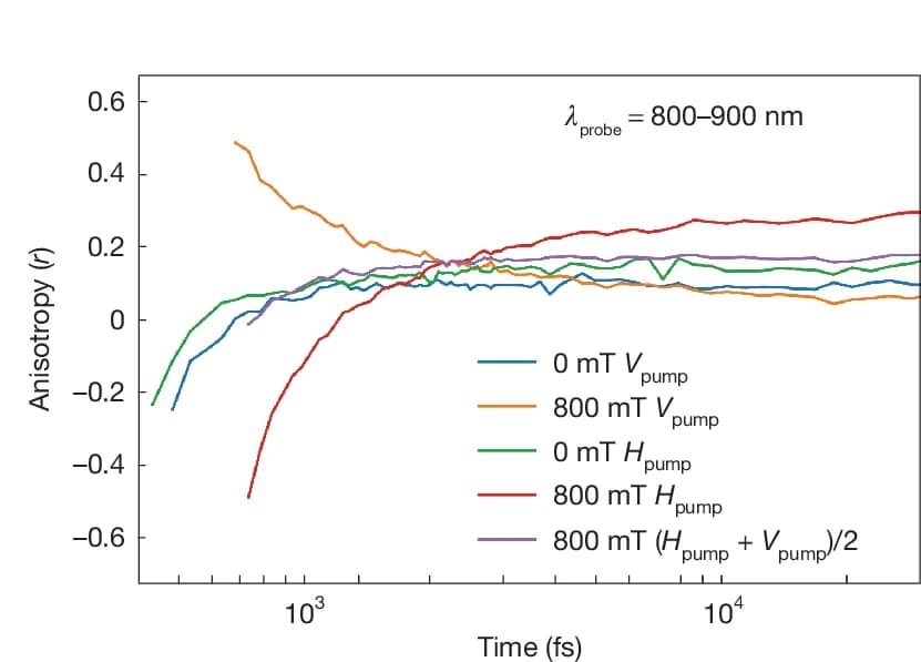 Open access visualization of Line Plot, Polarization, Anisotropy, Magnetic Field, Photoexcited State