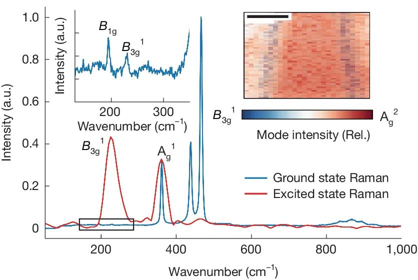 Open access visualization of Line Plot, Heatmap, Excited State, Raman Spectrum, PNRs