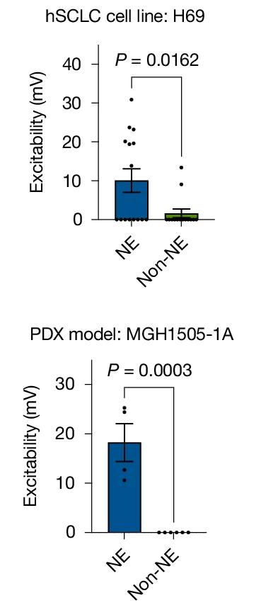 Open access visualization of Bar Plot, Error Bars, Scatter Plot, Excitability, NE Cells
