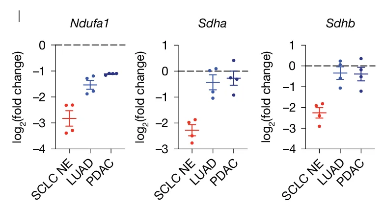 Open access visualization of Scatter Plot, Error Bars, Mitochondrial Proteins, SCLC, Cell Lines