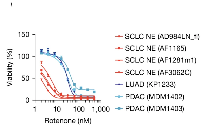 Open access visualization of Line Plot, Error Bars, Rotenone Sensitivity, CellTiter-Glo Assay, SCLC NE Cell Lines