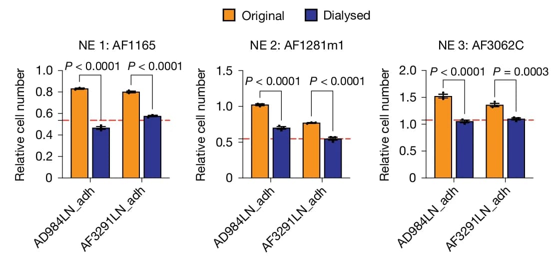 Open access visualization of Bar Plot, Error Bars, Clustered, Sulforhodamine B Assay, NE Cell Lines