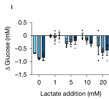 Open access visualization of Bar Plot, Error Bars, Box Plot, Glucose, SCLC NE Cells