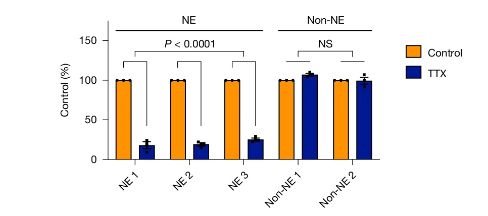 Open access visualization of Bar Plot, Error Bars, Clustered, TTX Treatment, mSCLC NE Cells