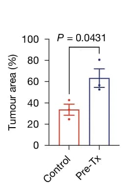 Open access visualization of Bar Plot, Error Bars, Tumor Area Quantification, Ki67 Staining, Cleaved Caspase 3 Staining