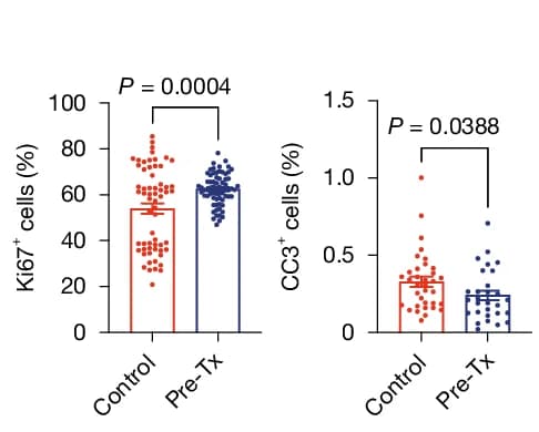 Open access visualization of Bar Plot, Error Bars, Scatter Plot, Tumor Area Quantification, Ki67 Staining