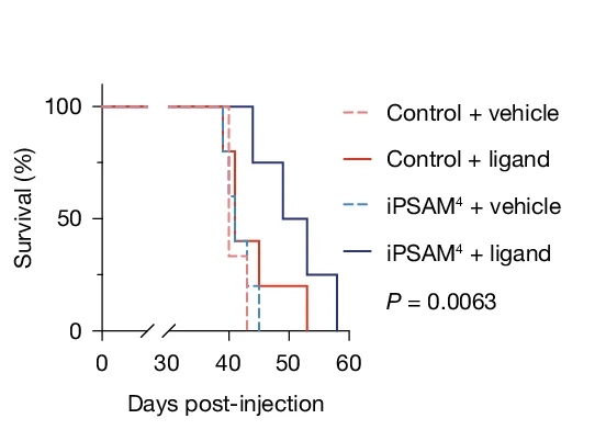 Open access visualization of Survival Curve, Line Step, Chemogenetic Suppression, NE Electrical Activity, Liver Metastasis Assay