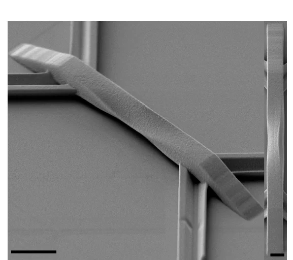 Open access visualization of Microscopy, Scanning Electron Microscopy, SEM, Device, Twist Angle