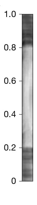 Open access visualization of Gel, Device