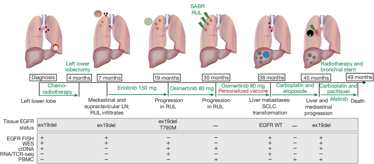 Open access visualization of Illustration, Workflow, Table Image, Patient Pathway, Samples