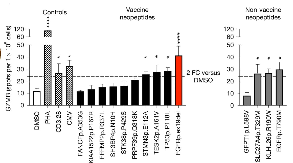 Open access visualization of Bar Plot, Error Bars, GZMB Release, Fluorospot, PBMCs