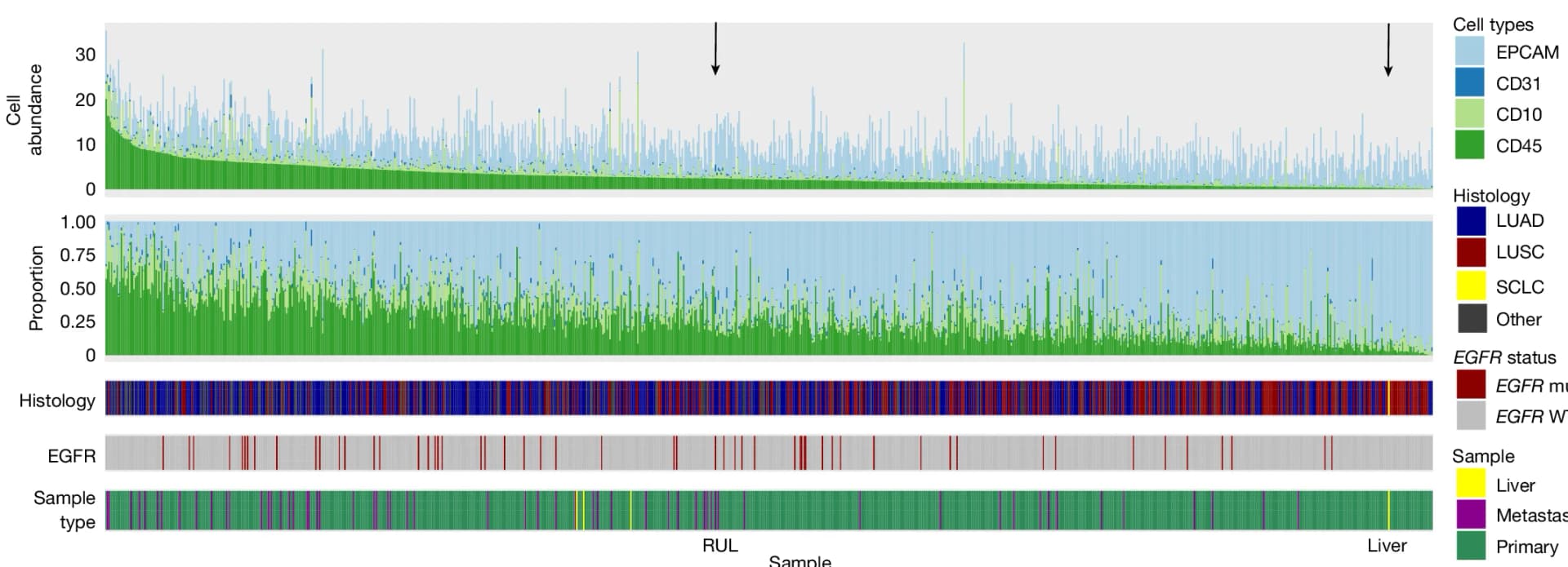 Open access visualization of Bar Plot, Stacked Bar Plot, CIBERSORTx Scores, TRACERx 421, RUL