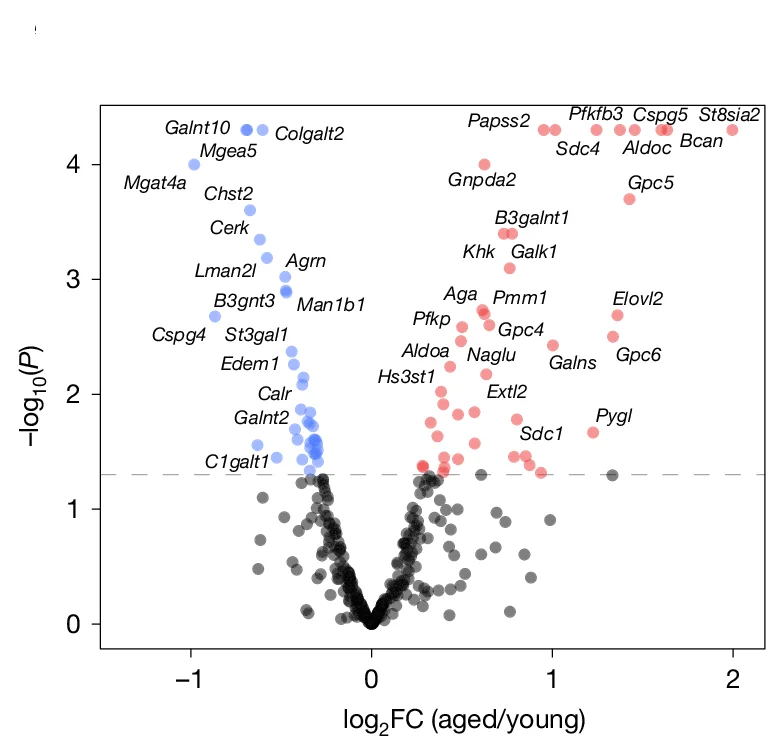 Open access visualization of Scatter Plot, Volcano Plot, Glycosylation-Related Genes, Brain Endothelial Cells, Mice