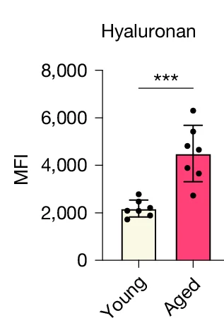 Open access visualization of Bar Plot, Error Bars, Mice, Mucin-Domain Glycoprotein, Lycopersicon Esculentum Lectin