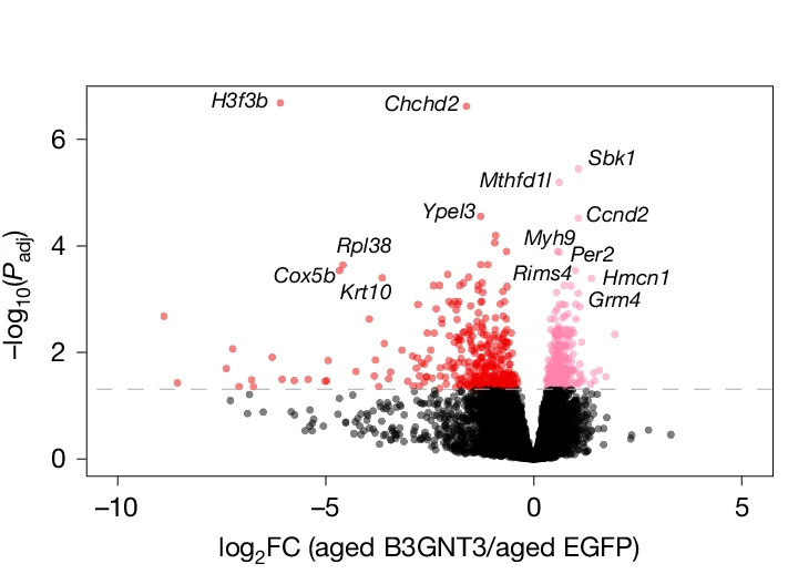 Open access visualization of Scatter Plot, Volcano Plot, ExN DEGs, AAV-B3GNT3 Treatment, Aged Mice