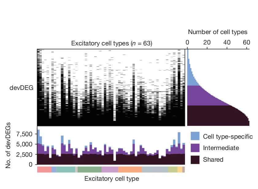 Open access visualization of Bar Plot, Stacked Bar Plot, Differentially Expressed Genes, Developmental Stages, Gene Expression