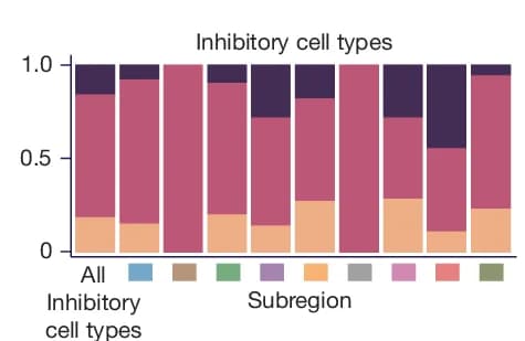 Open access visualization of Stacked Bar Plot, Class Distribution, Inhibitory Cell Types