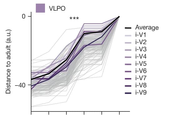 Open access visualization of Line Plot, Line Step, Distance Trajectories, Inhibitory VLPO Cell Types, ANOVA