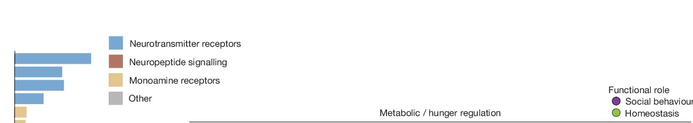 Open access visualization of Bar Plot, Refinement Score, Genes, P10, P65