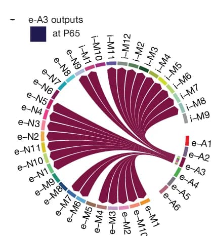 Open access visualization of Chord, Pathway, Links, e-A3, P65