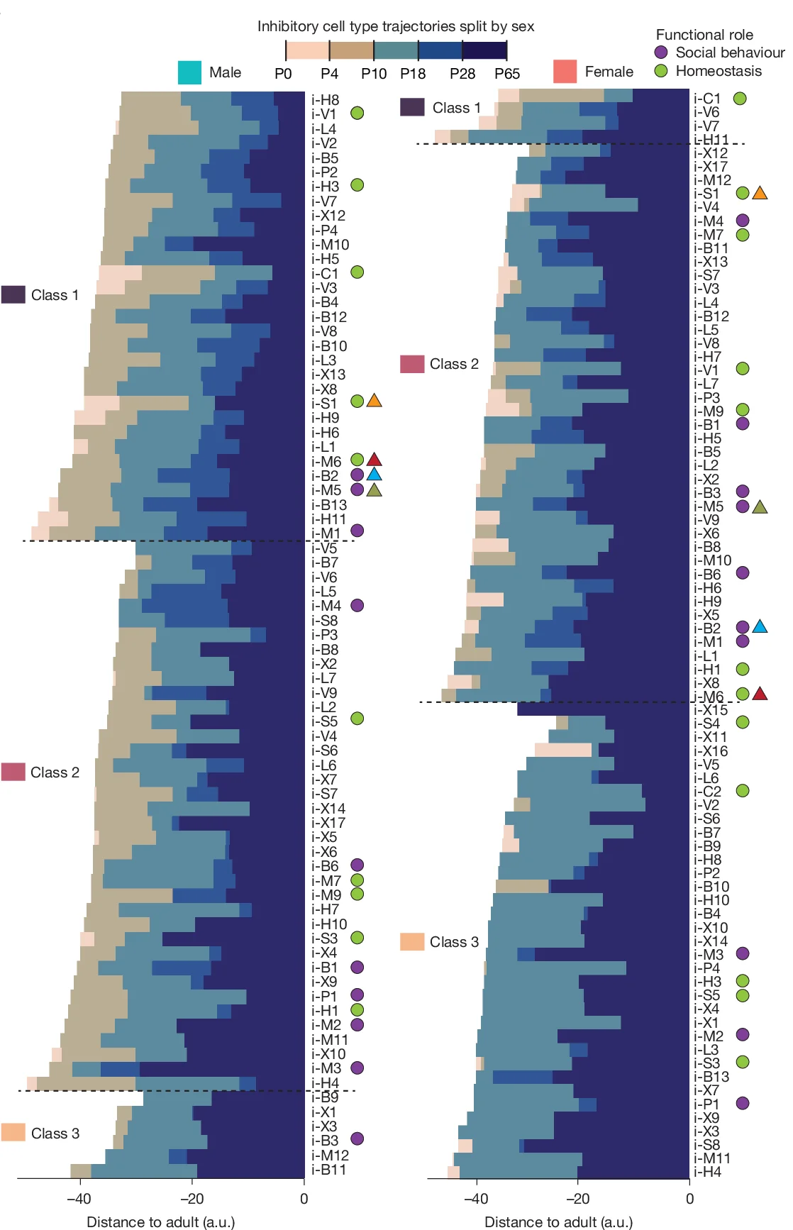 Open access visualization of Stacked Bar Plot, Inhibitory Clusters, Male Mice, Female Mice, Distance Trajectories
