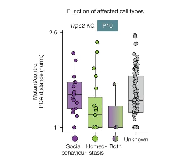 Open access visualization of Box Plot, Scatter Plot, Violin Plot, PCA, TRPC2