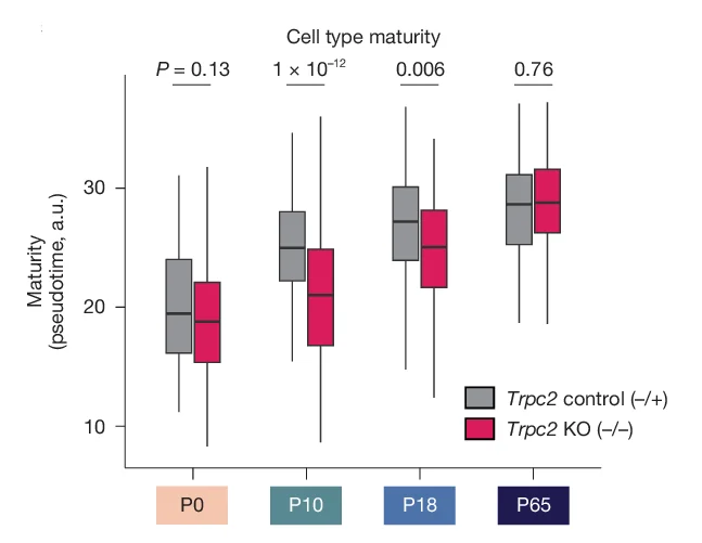 Open access visualization of Box Plot, Pseudotime, Trpc2, Mutant, Control