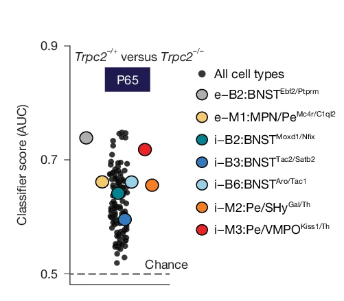 Open access visualization of Scatter Plot, Bubble Plot, Random-forest classifier, Augur, Cell Types