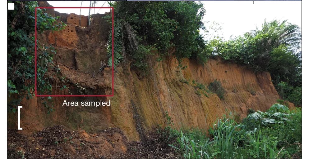 Open access visualization of Photo, Bete I, Sequence, Geochronology, Palaeoecological Proxies
