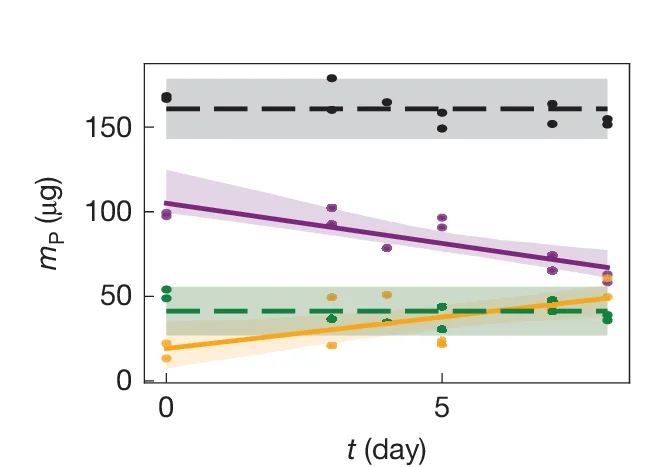 Open access visualization of Scatter Plot, Regression Plot, Line Plot, Phosphorus, Colony Expansion