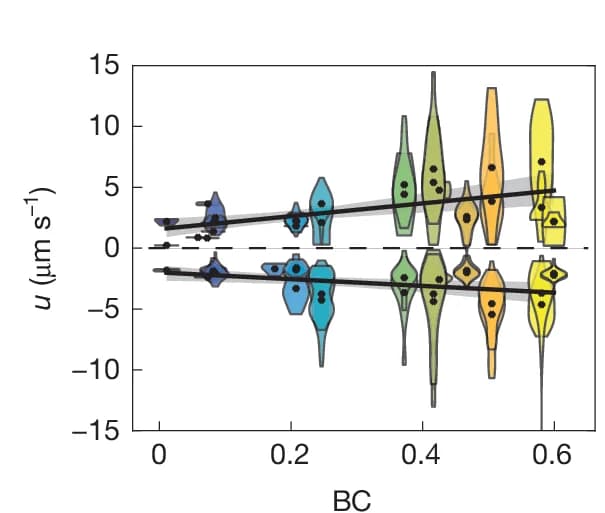 Open access visualization of Violin Plot, Regression Plot, Velocity Distribution, BC