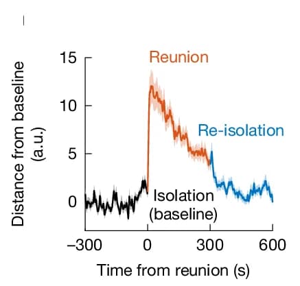 Open access visualization of Line Plot, Error Bars, Neural Trajectory, Baseline