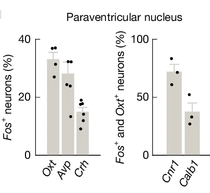Open access visualization of Bar Plot, Error Bars, Activated Neurons, Projection Regions, PVN