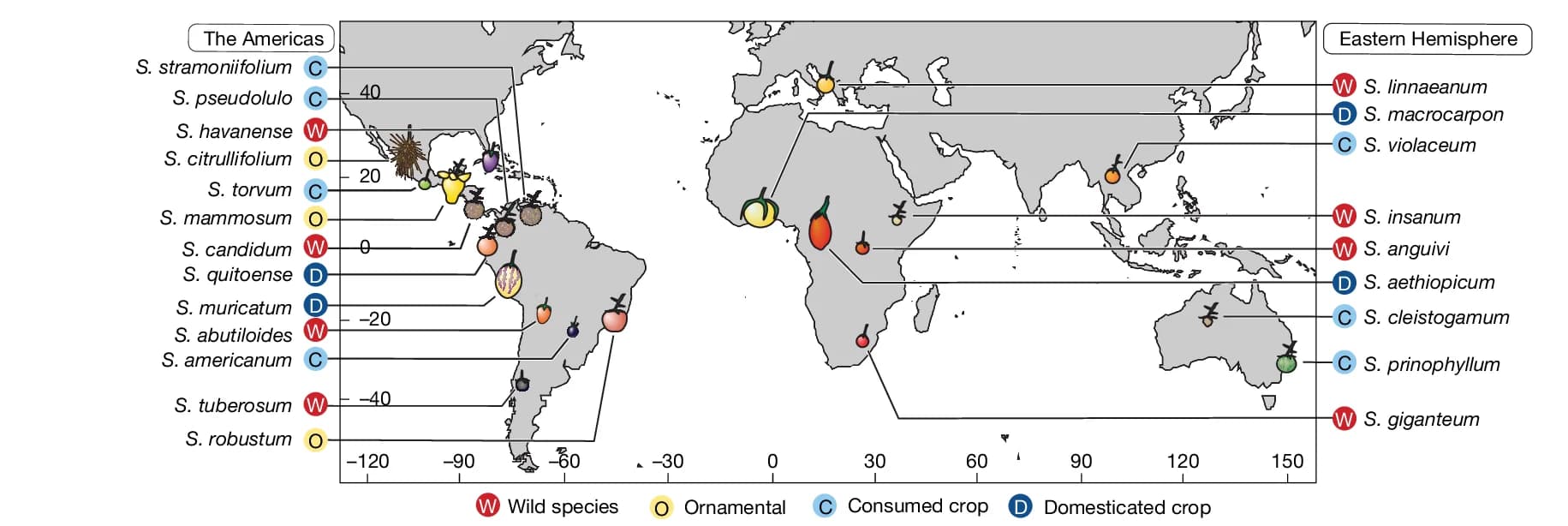 Open access visualization of Geo Map, Solanum Species, Agricultural Use, Native Range