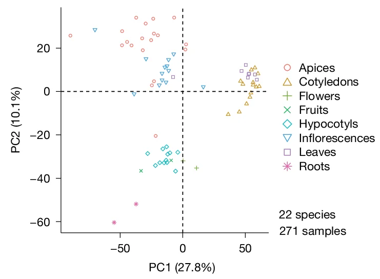 Open access visualization of Scatter Plot, PCA, Expression Matrix, Singleton Genes, Paralogue Pairs