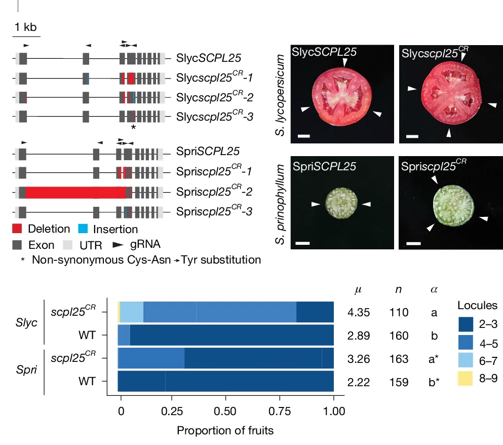 Open access visualization of Workflow, Photo, Bar Plot, Stacked Bar Plot, CRISPR-Cas9