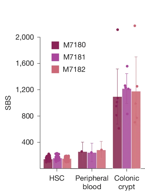 Open access visualization of Bar Plot, Error Bars, Scatter Plot, Clustered, SBS Burden