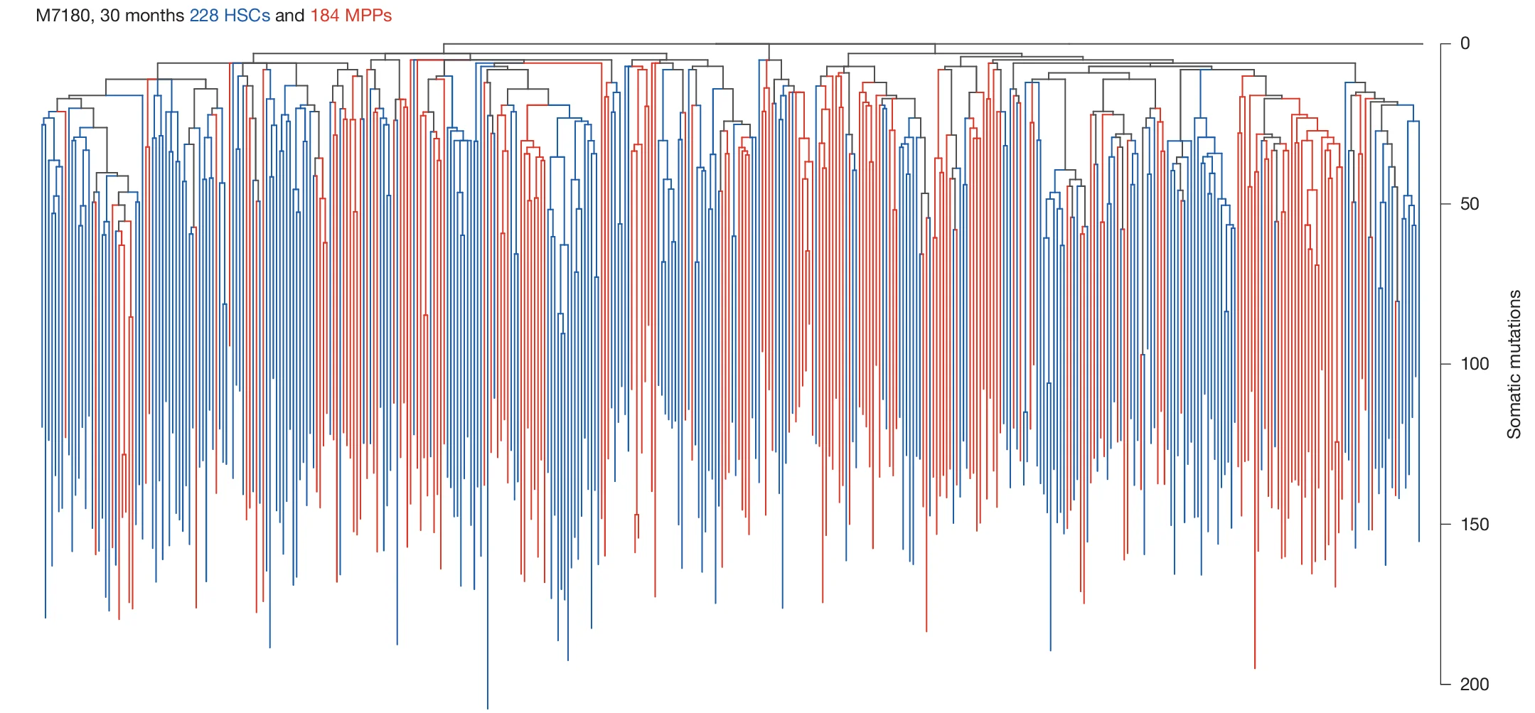 Open access visualization of Line Plot, Error Bars, Dendrogram, Phylogenetic Trees, Mouse