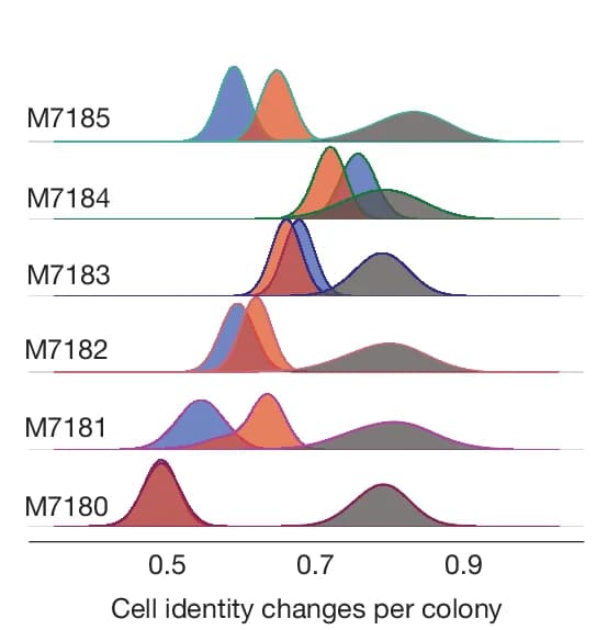 Open access visualization of Density Plot, Ridge Plot, Cell Identity Changes, Colonies, HSC-first Model