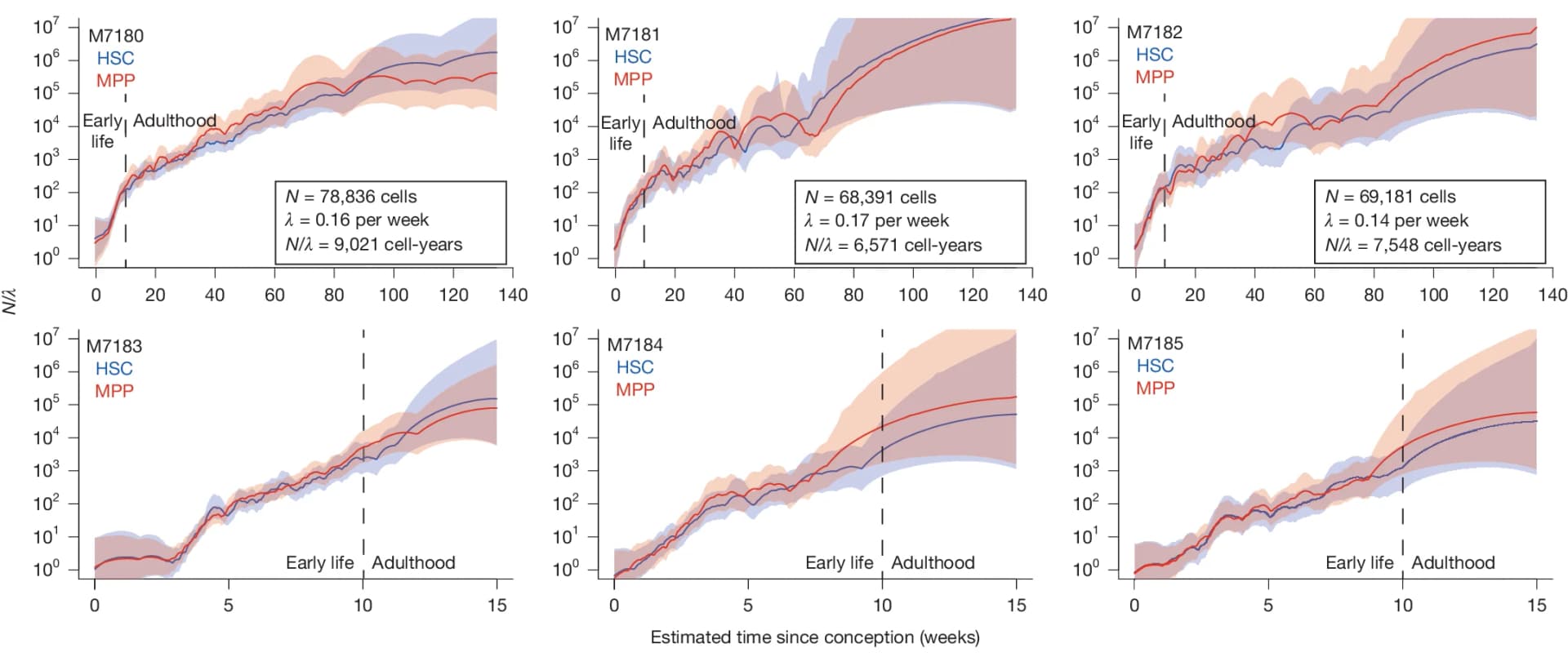 Open access visualization of Line Plot, Error Bars, HSCs, MPPs, Bayesian phylodynamics