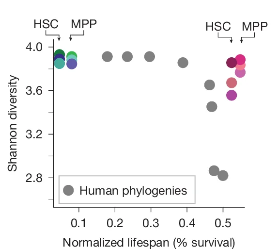 Open access visualization of Scatter Plot, Shannon Diversity Index, Phylogeny, Clades, Mutations