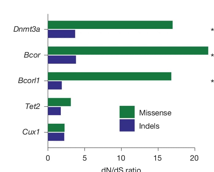 Open access visualization of Bar Plot, Clustered, dN/dS Ratio, Targeted Genes, Murine Clonal Haematopoiesis