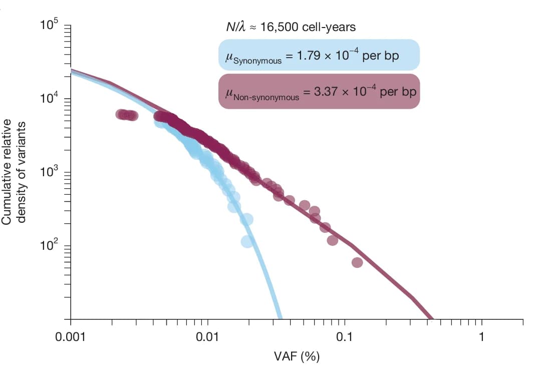Open access visualization of Line Plot, Scatter Plot, Duplex Sequencing, Somatic Variants, Mice