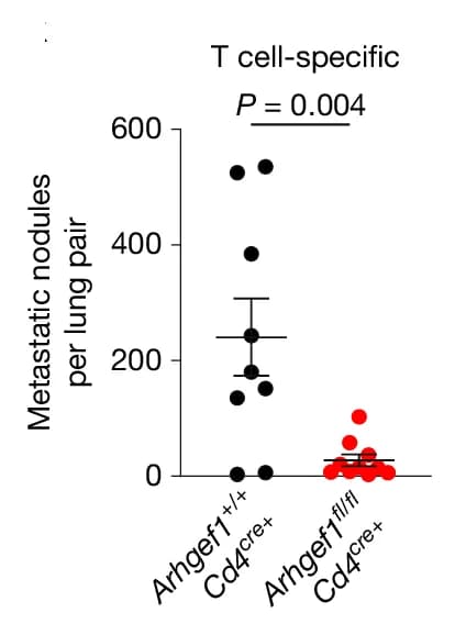 Open access visualization of Scatter Plot, Error Bars, Frequency, Lung Metastases, Mice