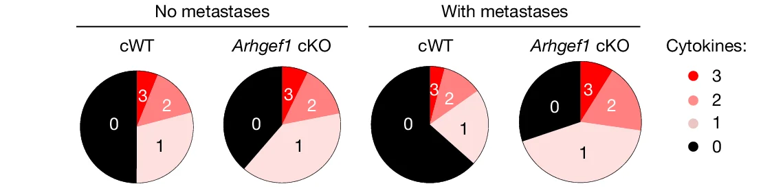 Open access visualization of Pie Chart, Cytokine Polyfunctionality, Intracellular Cytokine Staining, CD8+ T Cells, Melanoma Cells
