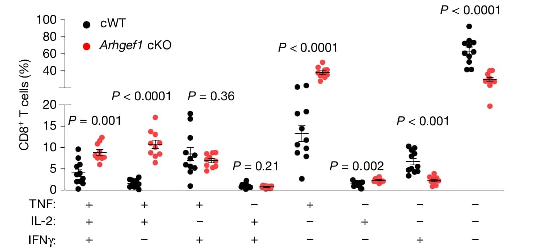 Open access visualization of Scatter Plot, Error Bars, Relative Frequency, Intracellular Cytokine Staining, CD8+ T Cells