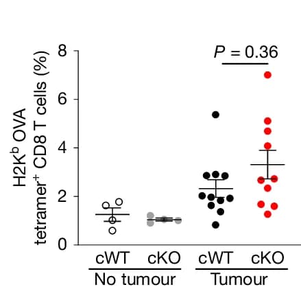 Open access visualization of Scatter Plot, Error Bars, Tumor Antigen Specific CD8+ T Cells, Peptide-MHC Tetramer Staining, Tumor Bearing Lungs