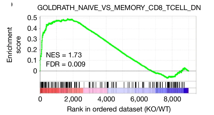Open access visualization of Line Plot, Enrichment Analysis, Gene Set, Transcriptional Differences, TXA2