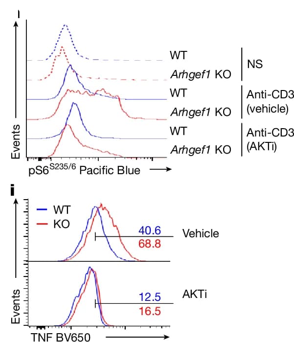 Open access visualization of Line Plot, Density Plot, Ex Vivo, S6 Phosphorylation, Splenic Naive CD8+ T Cells